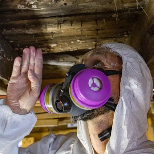 Exterminator inspecting wood in a crawlspace | World Pest Control serving Salina, KS